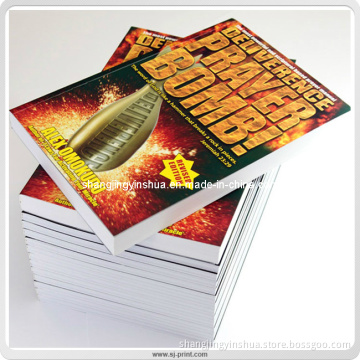 Art Paper Folding Print A4 Size Colorful Booklets (PC018)
